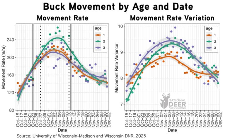 New Study Investigates Peak Rut Buck Movement