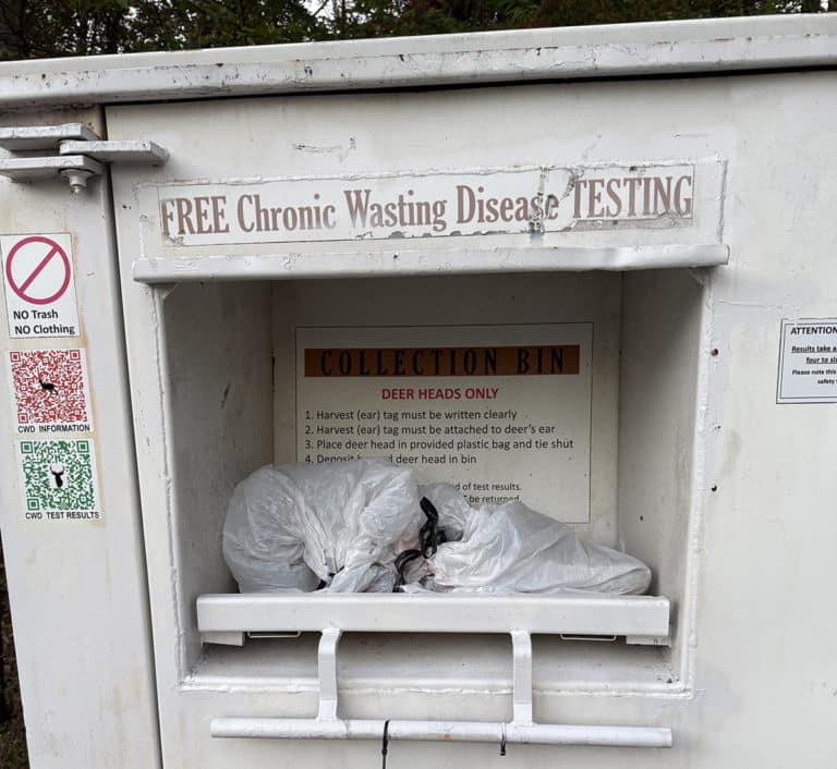 Two Does, One Lesson: The Value of CWD Testing