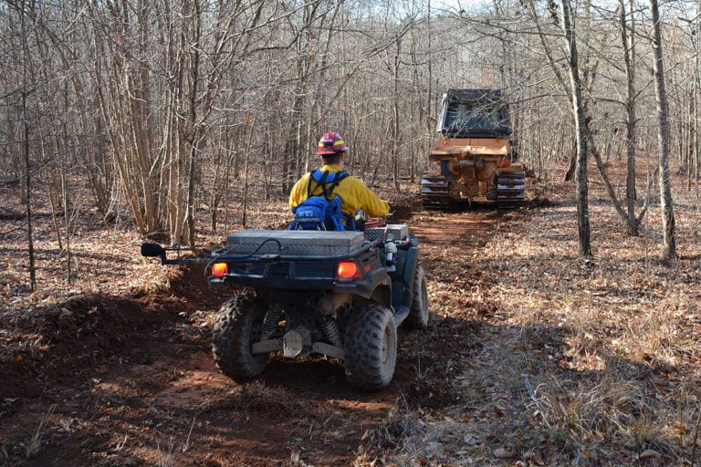 Firebreaks First: How to Plan a Safe Prescribed Burn on Your Property
