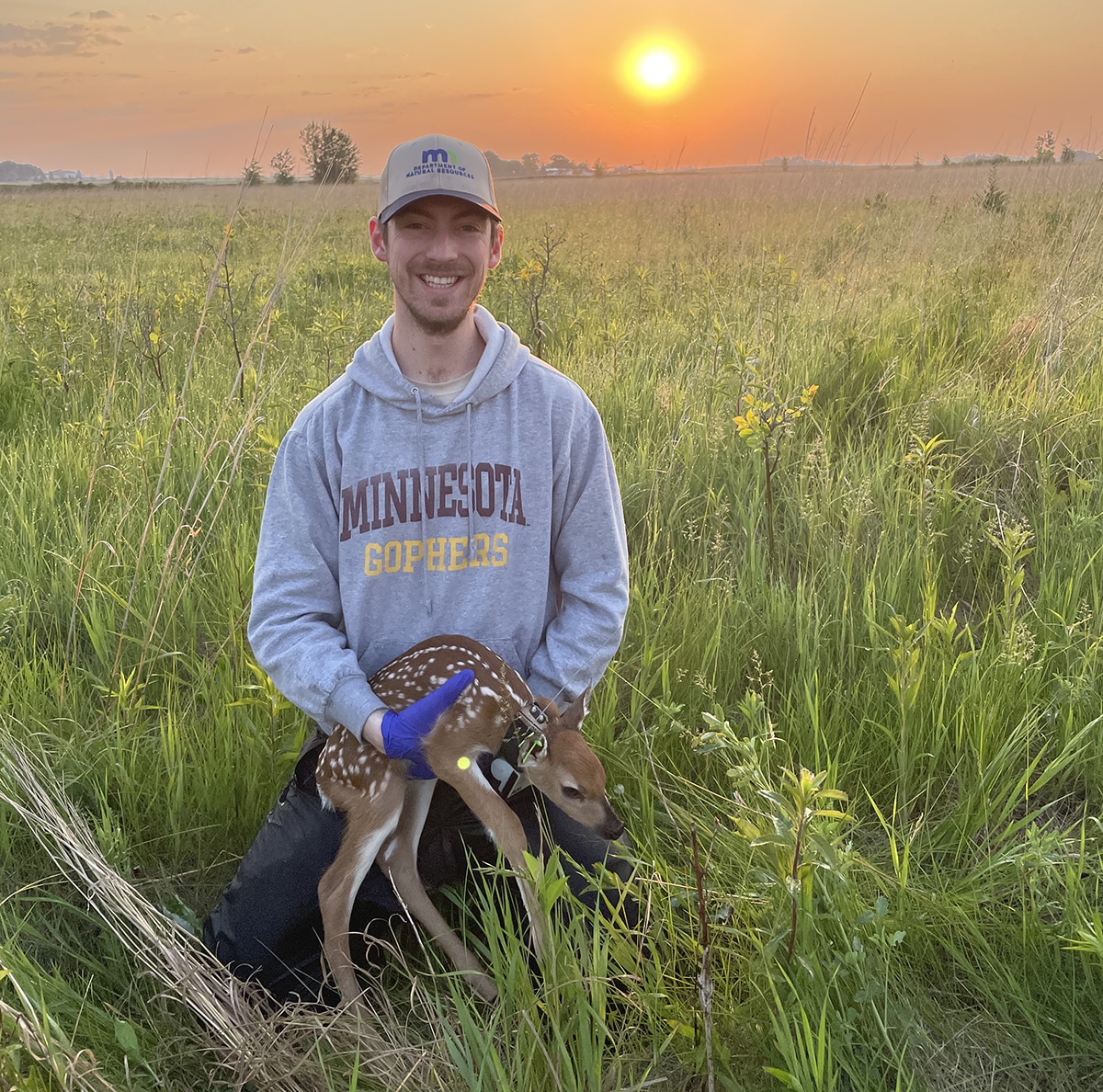Fawns Use 3 Strategies to Avoid Predators. This Habitat Strategy Can Help.