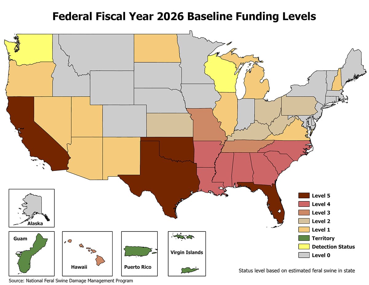 USDA Aims to Eradicate Feral Hogs In These States